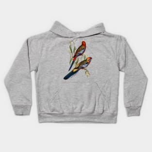 Adelaide Parakeet Vintage Illustration Kids Hoodie